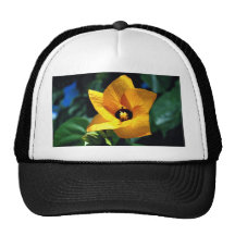Hau Tree, Pacific Islands Hat