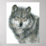 "Haunted Eyes" Wolf Poster by Artist Carla Kurt posters