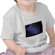 haunted-house01 shirts
