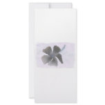 Haunting Image of a Hibiscus flower Customized Rack Card
