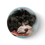 Hava Havanese! Button