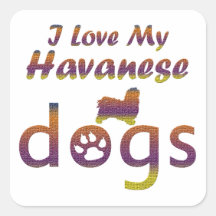 Havanese designs stickers