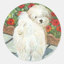 Havanese Dog and Poppies Art Print Stickers