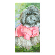 Havanese Dog in Pink Coat Art Photo Card
