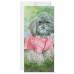 Havanese Dog in Pink Coat Art Rack Card rack cards