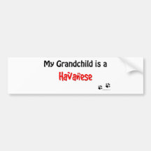 Havanese Grandchild Bumper Stickers