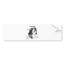 Havanese History Design