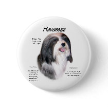 Havanese History Design