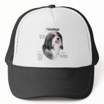 Havanese History Design