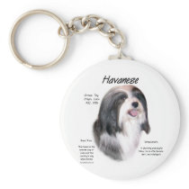 Havanese History Design