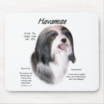 Havanese History Design