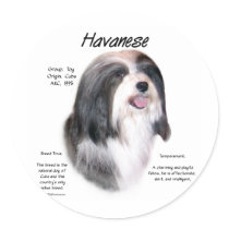 Havanese History Design