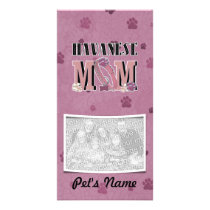 Havanese MOM
