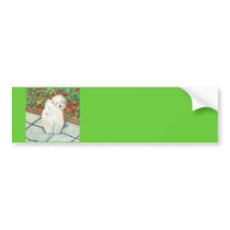 Havanese n Poppies Art Print Gifts & Cards