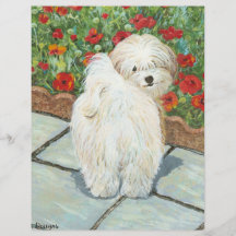 Havanese n Poppies Art Print Gifts & Cards Flyer
