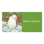 Havanese n Poppies Art Print Gifts & Cards Customised Photo Card
