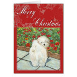 Havanese n Poppies Christmas Gifts and Cards