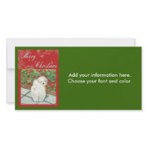 Havanese n Poppies Christmas Gifts and Cards