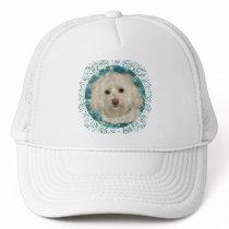 Havanese on Turquoise Water