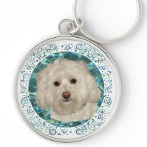 Havanese on Turquoise Water