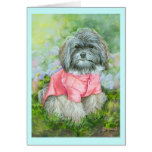 Havanese Pink Coat Art Portrait Card