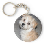 Havanese Puppy keychains
