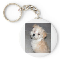 Havanese Puppy Key Chains