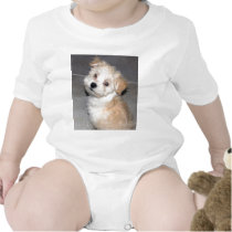 Havanese Puppy Tee Shirts