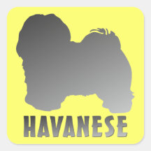 Havanese Square Sticker