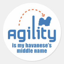 Havanese Stickers