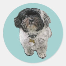 Havanese Stickers