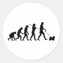 Havanese Stickers