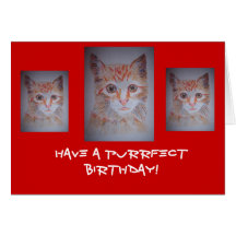 Have a Purrrfect Day Card