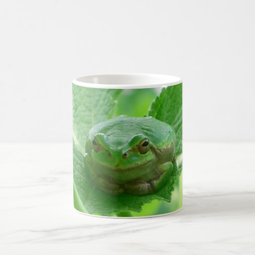 Have a smile every day coffee mugs