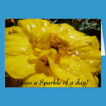 Have a Sparkle of a day! cards