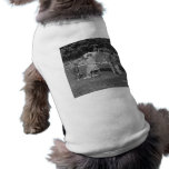 Have Some! Vintage Stereoview Pet Tee Shirt