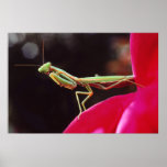 Have we been introduced? posters