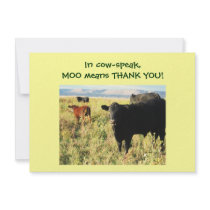 Have You Herd? Calves - Western Thanks Baby Gift