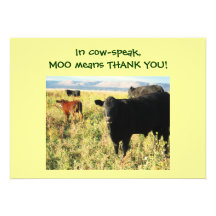 Have You Herd? Calves - Western Thanks Baby Gift Personalised Announcement