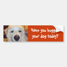 Have you hugged your dog today? bumper sticker