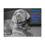 Have you hugged your Neo Puppy today? postcards