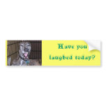 Have you laughed today? bumper stickers