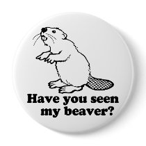 HAVE YOU SEEN MY BEAVER