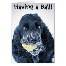 Having a Ball! Greeting Card