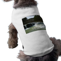 Haw Falls 1 Dog Shirt