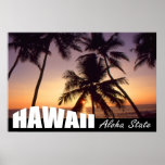 Hawaii Aloha State USA Travel Poster
