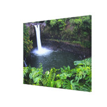 Hawaii, Big Island, Hilo, Rainbow Falls, Lush Gallery Wrapped Canvas