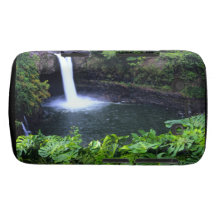 Hawaii, Big Island, Hilo, Rainbow Falls, Lush Blackberry Cases