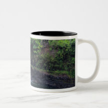 Hawaii, Big Island, Hilo, Rainbow Falls, Lush Mugs