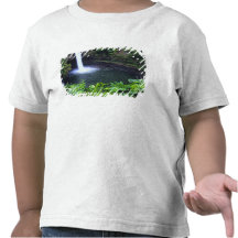 Hawaii, Big Island, Hilo, Rainbow Falls, Lush Tshirts